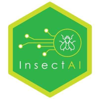 InsectAI